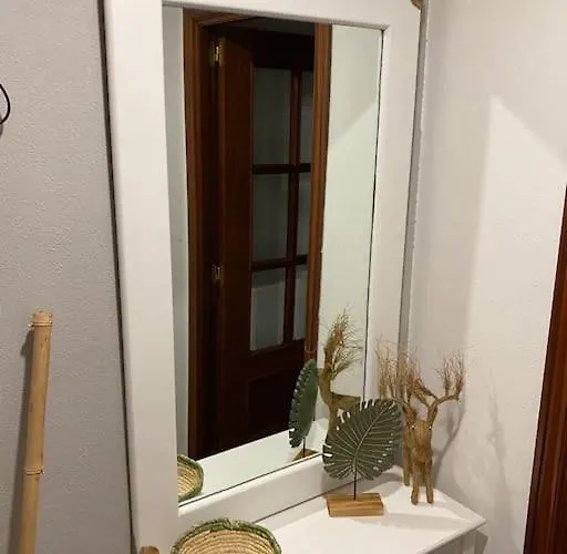 Apartment “ledicia”, Piso En Alquiler Vigo