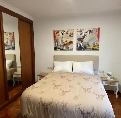 Apartment “ledicia”, Piso En Alquiler Vigo